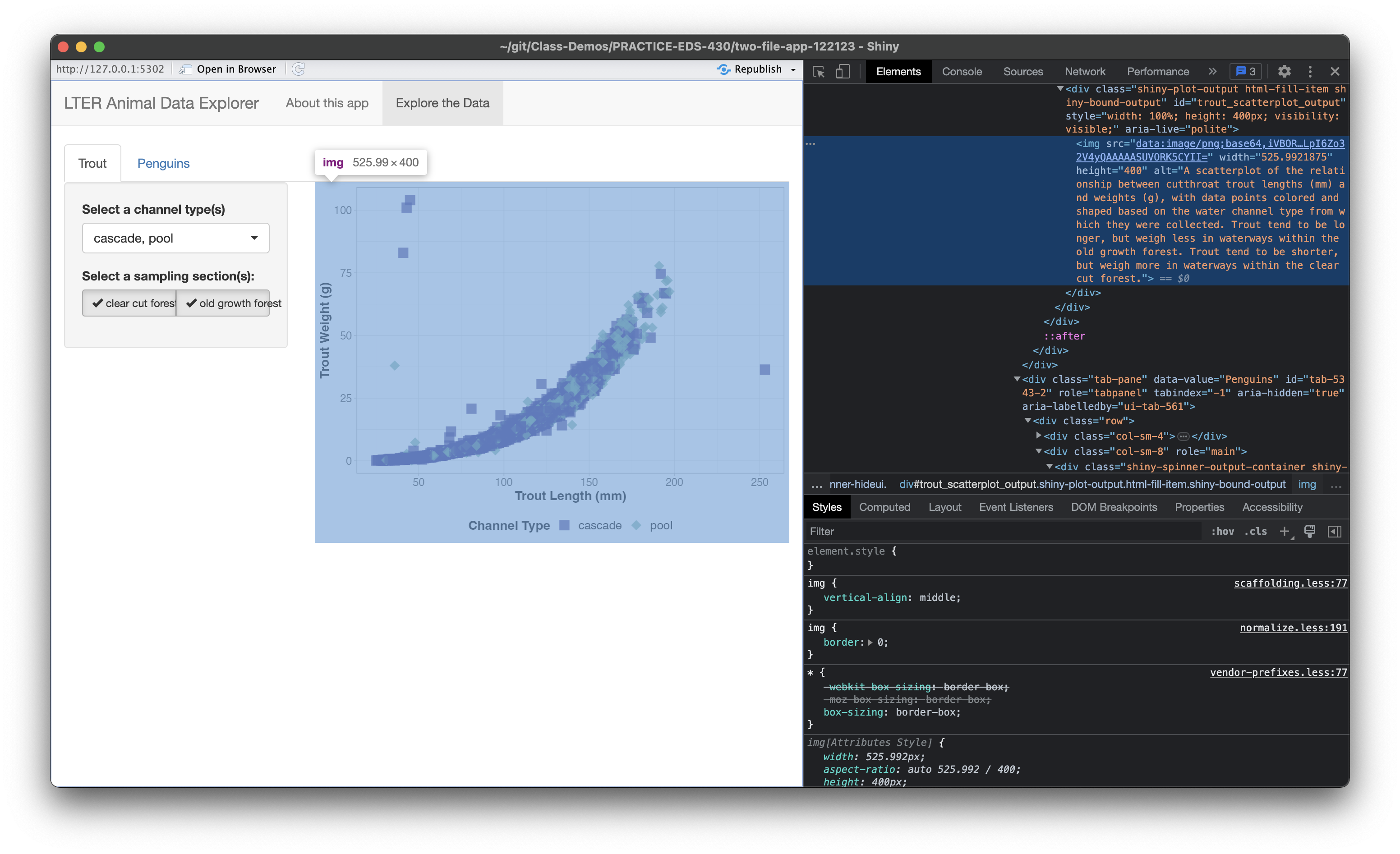 Loading animations appear each time an input value is changed and plot outputs are re-rendered. The trout plot has a blue animation of three perpendicular vertical bars that undulate in length. The penguin plot has a green trailing circular pattern of small circles that grow and shrink in size as they rotate.