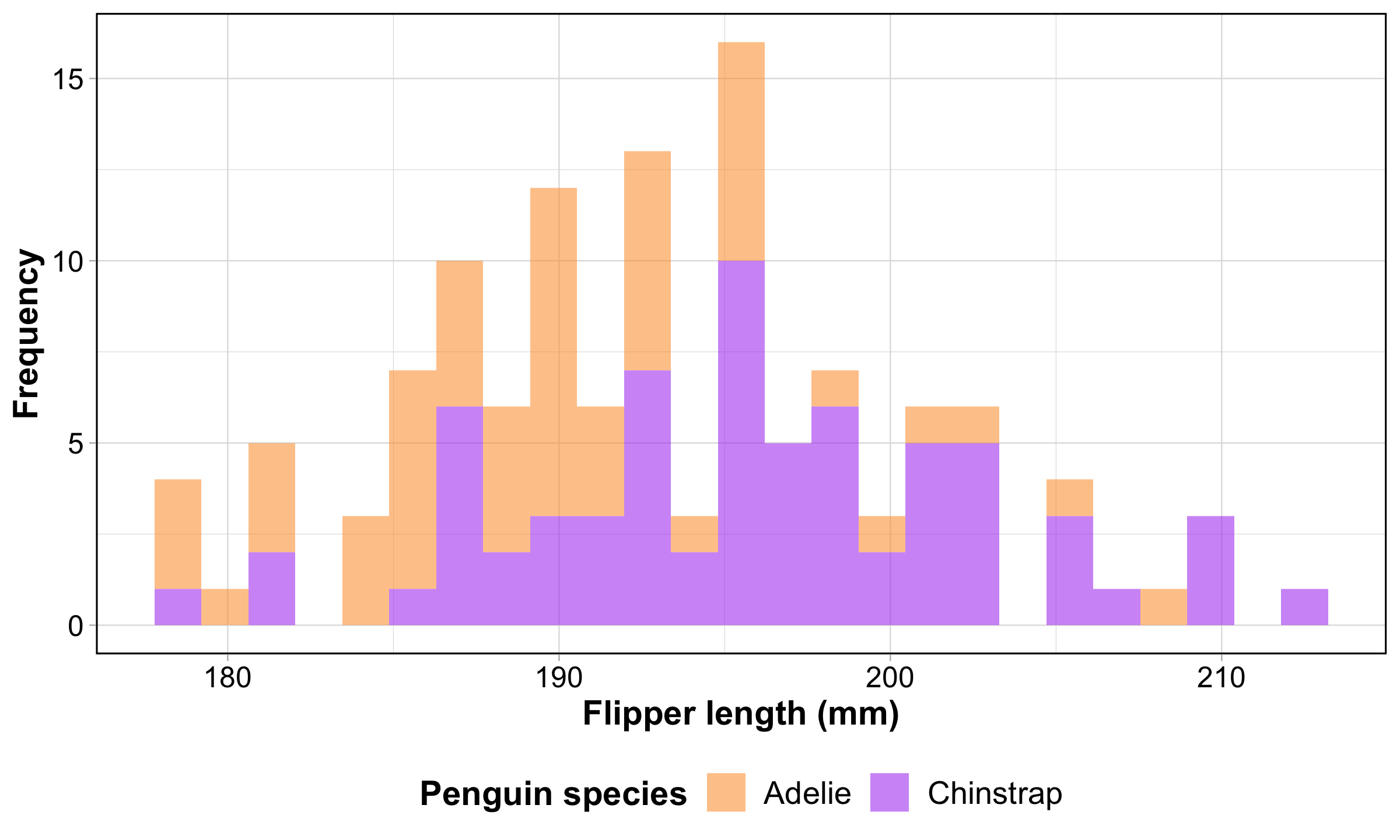 A histogram of penguin Flipper lengths (mm) with bars colored by species. Adelie are orange and Chinstrap are purple.