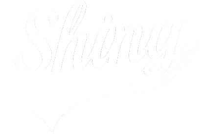 The word 'Shiny' in cursive lettering, which is the logo used by Posit for the shiny package.